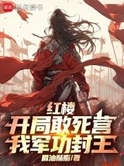 红楼开局敢死营我军功封王TXT