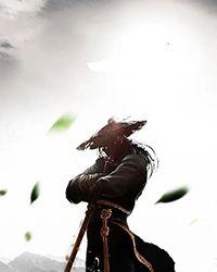 我是神医传人免费阅读